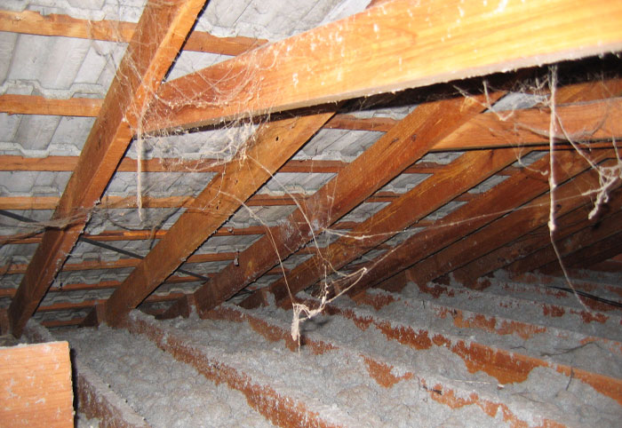 Loose-fill asbestos within a roof cavity