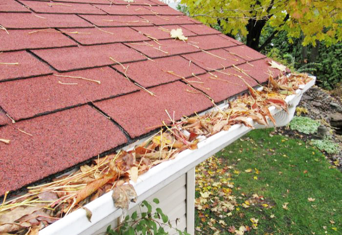 Gutters filled with leaves