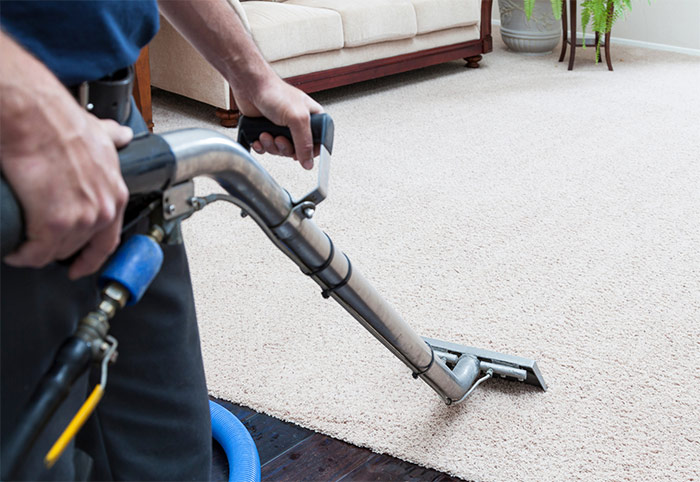 steam-cleaning home carpets