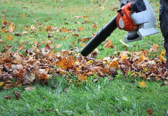 Removing garden debris with a blower