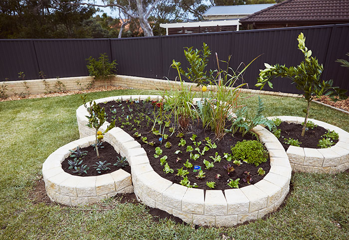 A layered backyard veggie patch built with Miniwall concrete bricks.