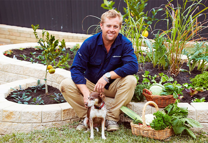 Jason Hodges and his veggie patch built with Miniwall blocks
