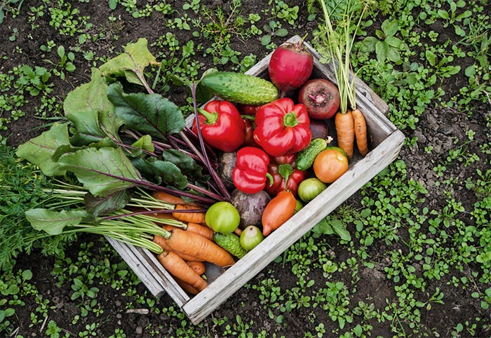 Fresh garden vegetables in a wooden crate.