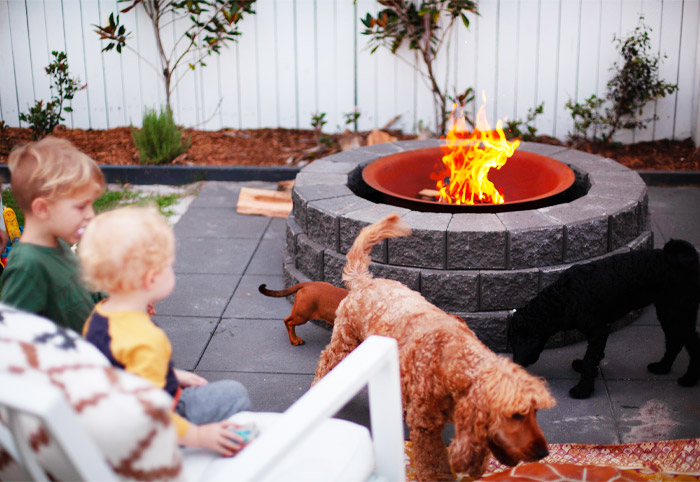 Children and dogs gathered around a backyard fire pit.