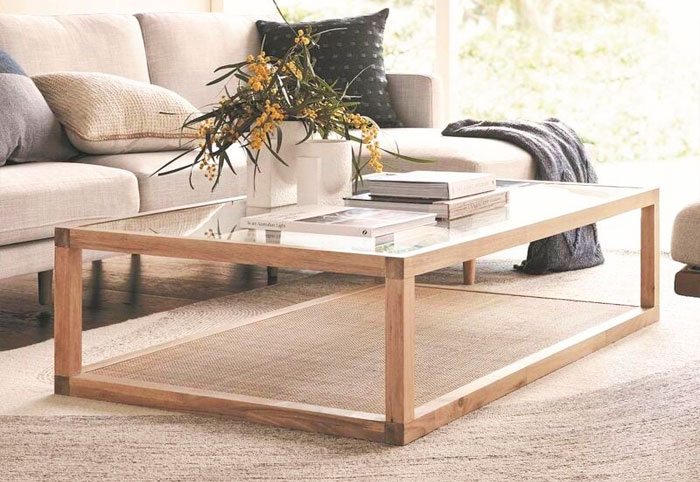 Glass coffee table topped with books and a plant.