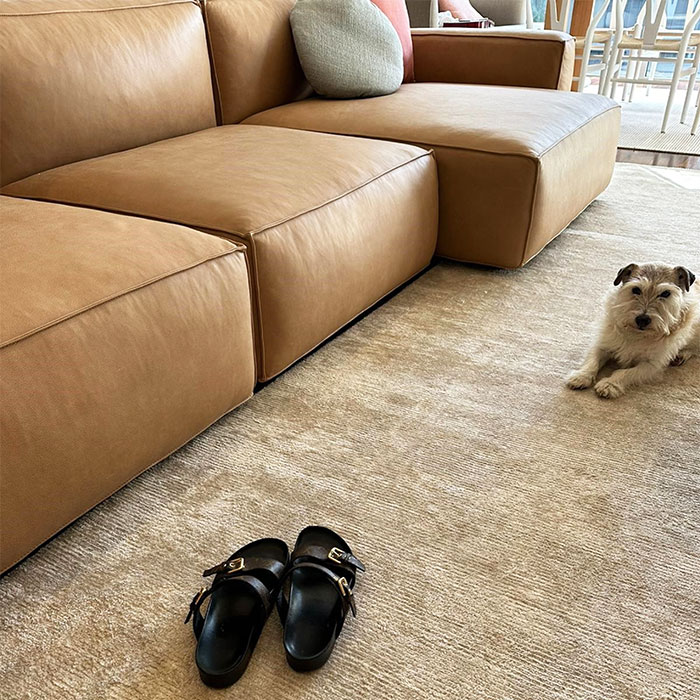 A white dog sits on a natural rug next to a tan leather sofa. 