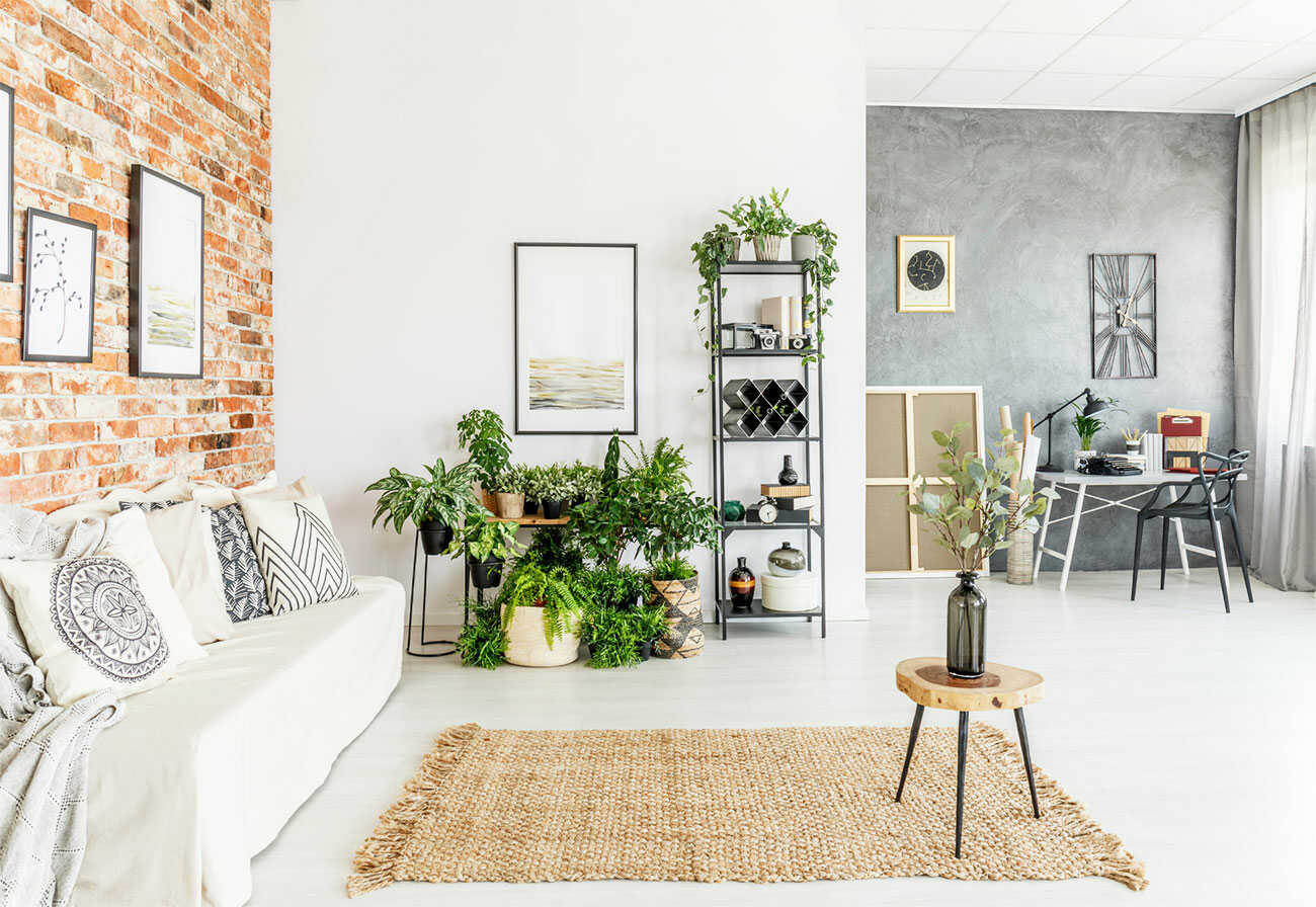 Light and bright living room with open shelving and lots of indoor plants.