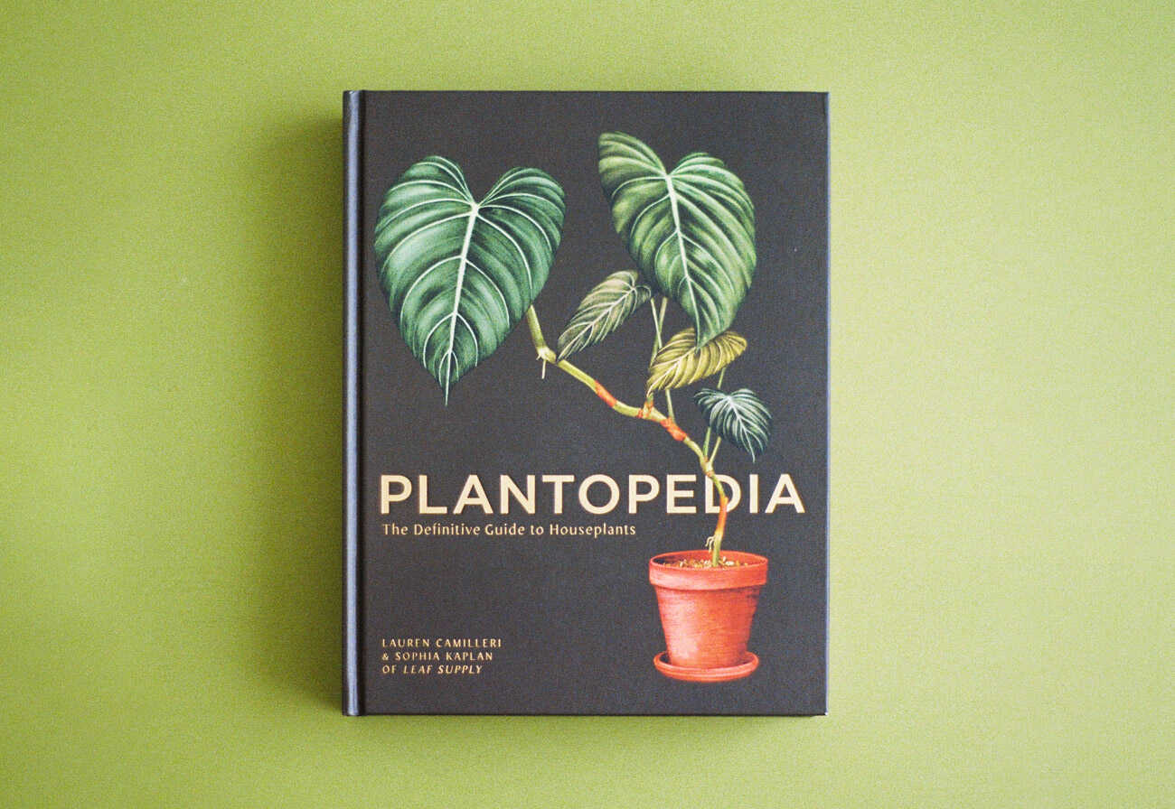 Plantopedia hardback book on a green background.
