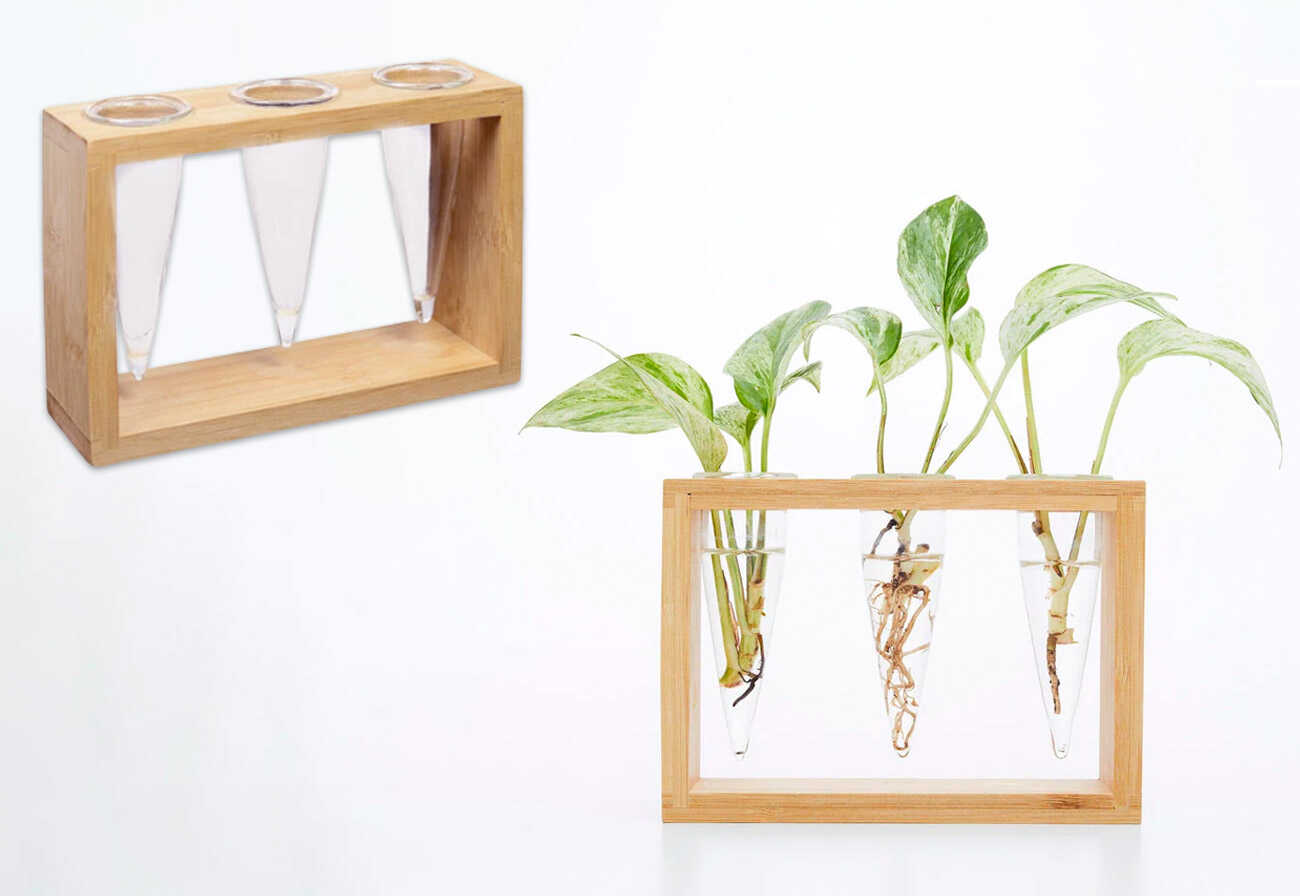 Two images of a plant propagation station, one empty and one with plants in glass tubes.