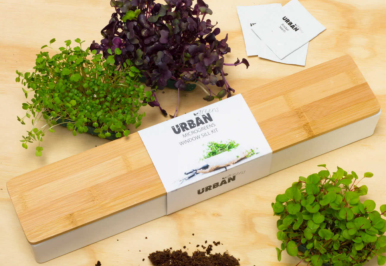 Urbangreens Microgreens growing kit on a wooden bench next to small plants.