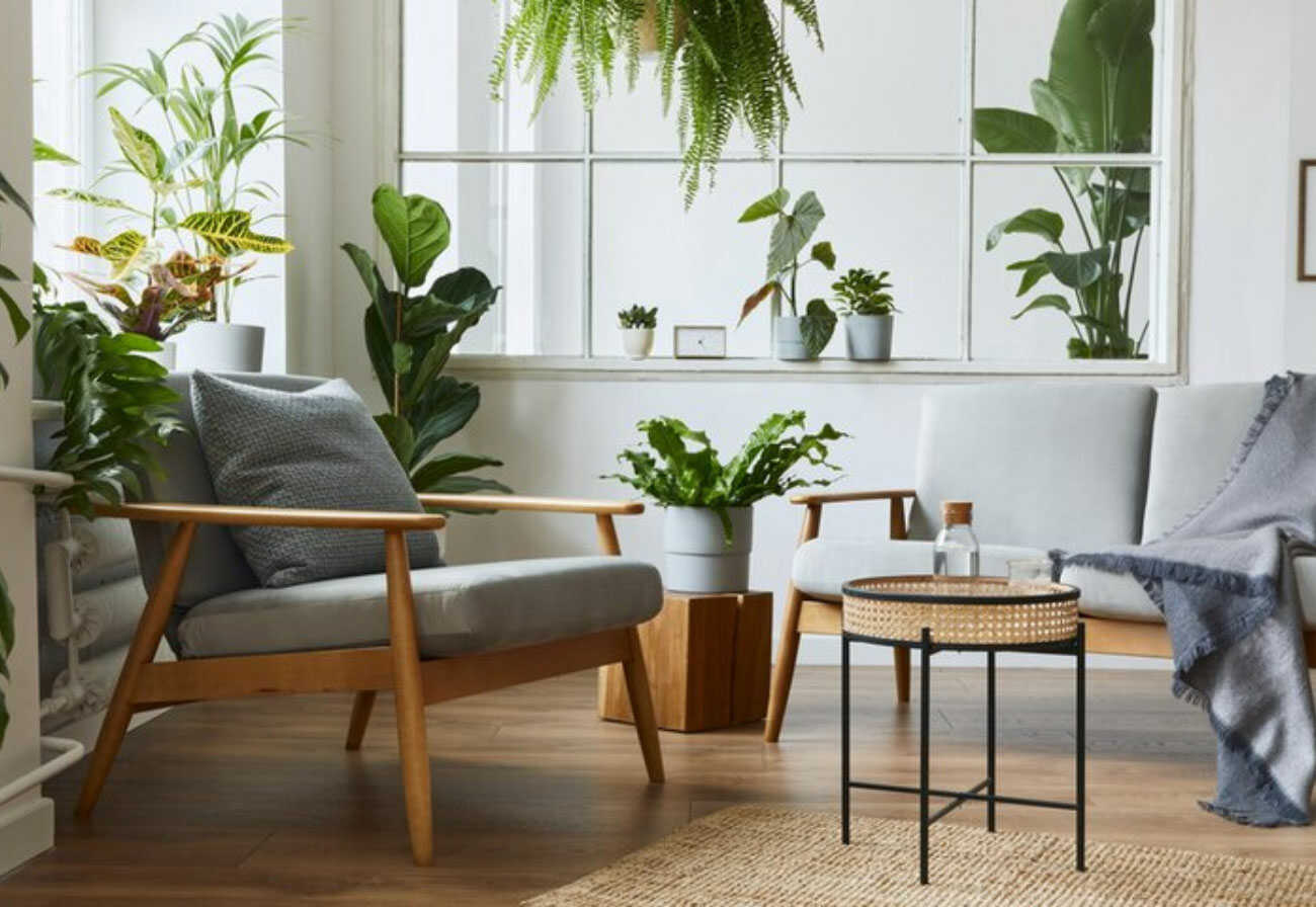 Sitting room filled with indoor plants.