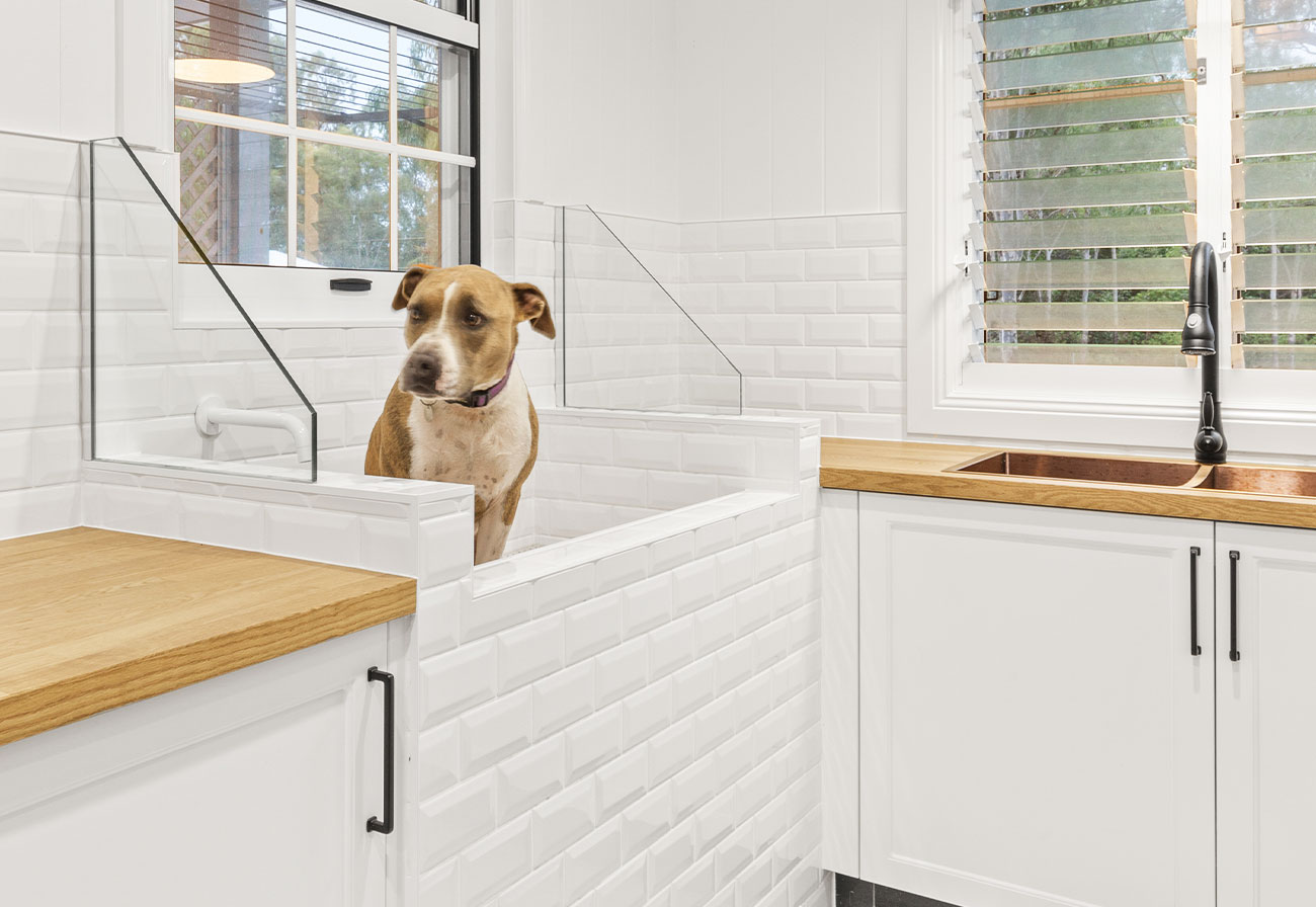 A dog sitting in a custom home dog wash in a mud room.