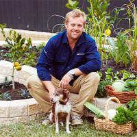 How To Build A Veggie Patch In A Weekend