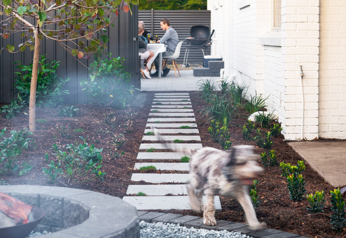 Dog runs down a step-stone footpath along the side of a house.