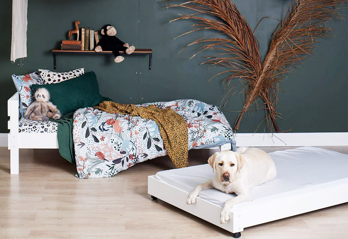 Dog lies on a trundle bed in a kids room.