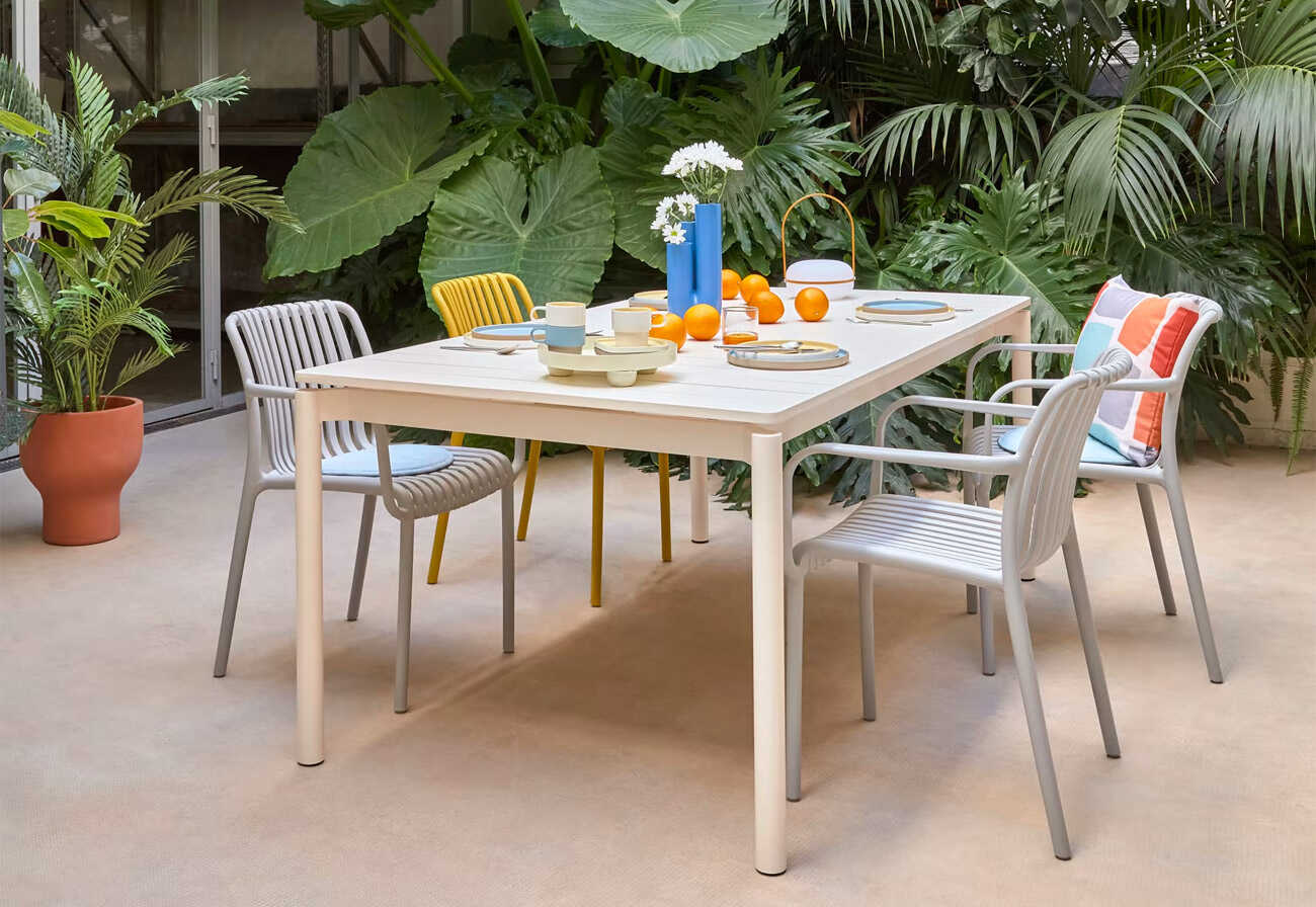 Garden entertaining area with palms and furniture.