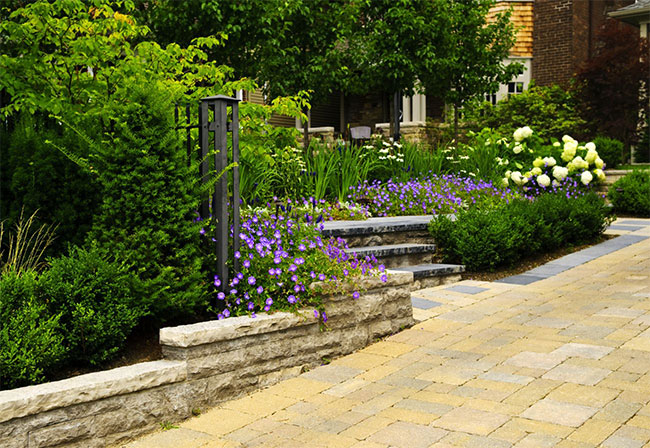 A brick driveway with plants running alongside it.