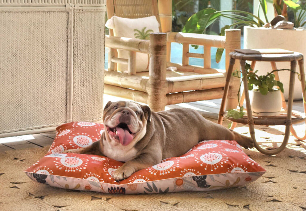 Dog on a red pet bed on outdoor deck.