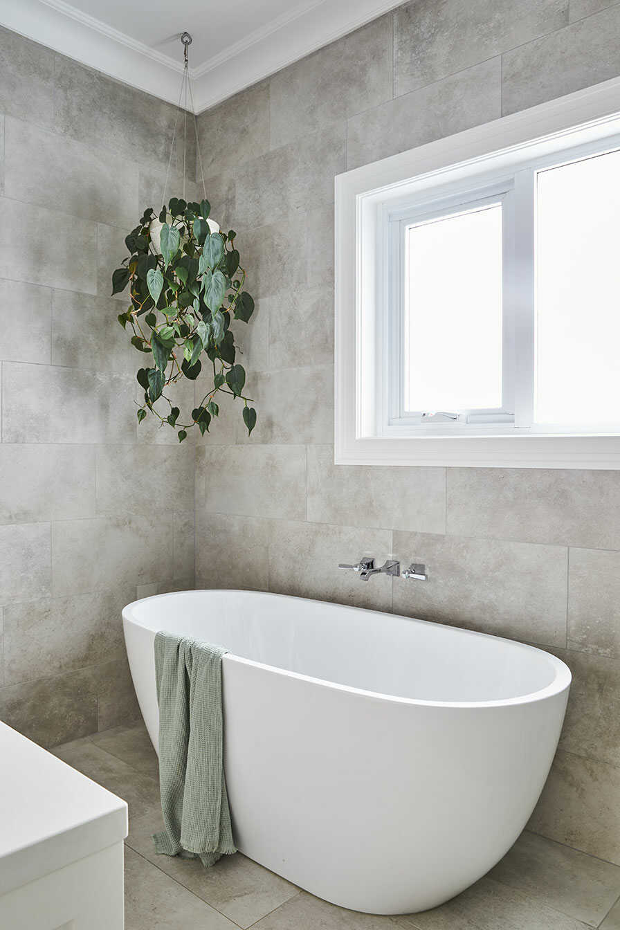 A freestanding bathtub with a plant hanging overhead.