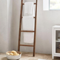 8 Best Decorative Ladder Ideas For Your Home