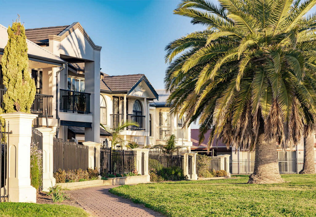 Row of Australian townhouses with a large palm out the front.