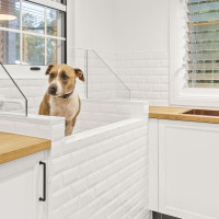 The Home Dog Wash Station Is The New Reno Trend