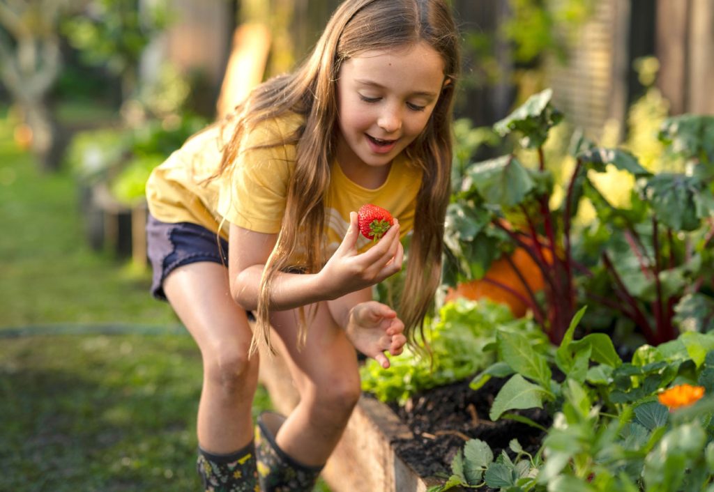 Girl picking strawberry.