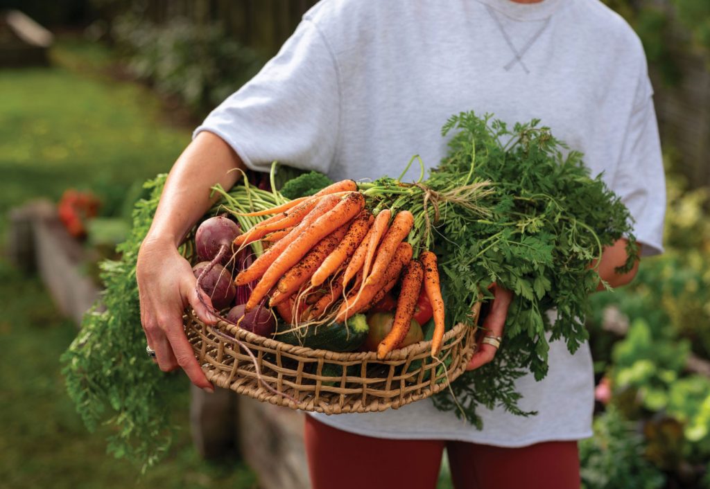 Woman holding basket of freshly picked carrots.