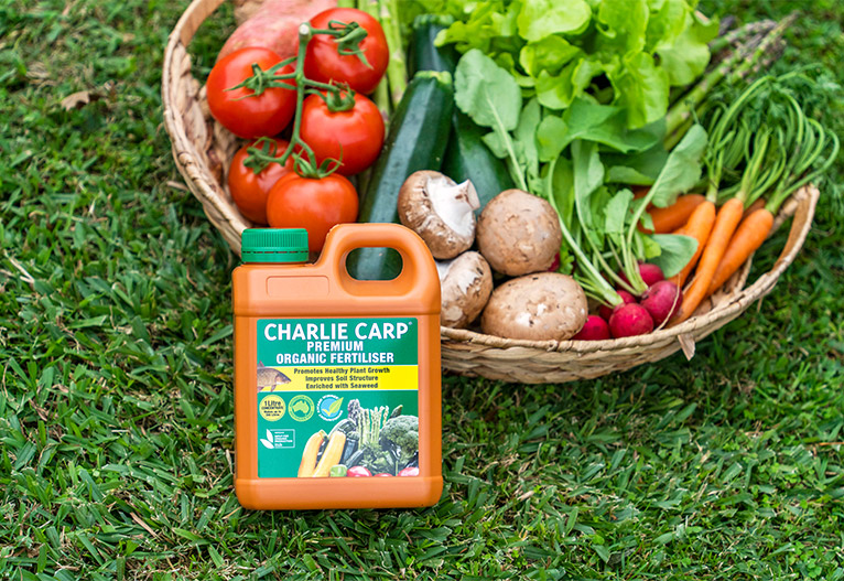 Charlie Carp Organic Fertiliser next to a basket of fresh vegetables.