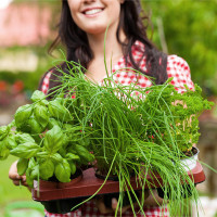 What To Plant Right Now: Expert's Seasonal Guide