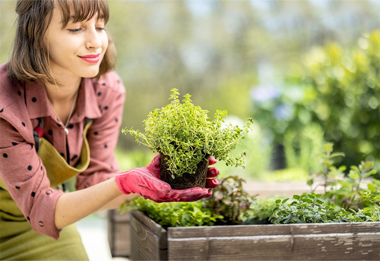Woman gardening at a garden bed.