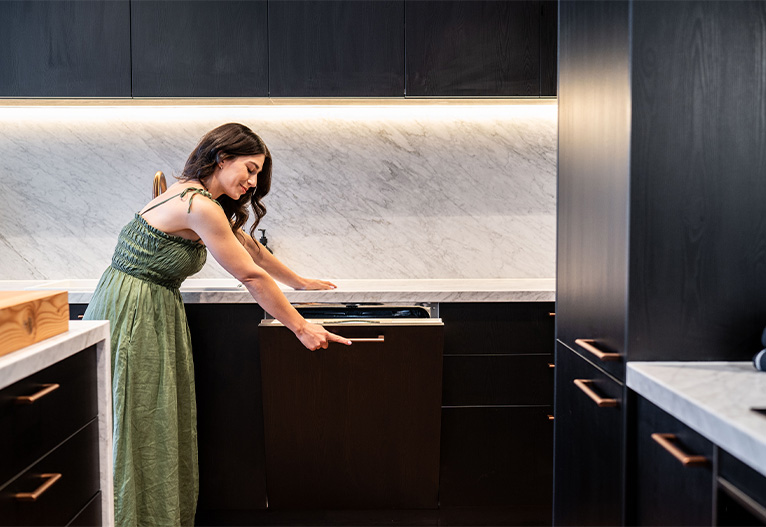 Kleenmaid integrated dishwasher