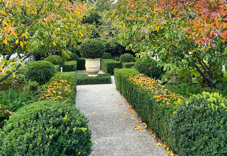 Designer garden with hedging by Andrew Stark.