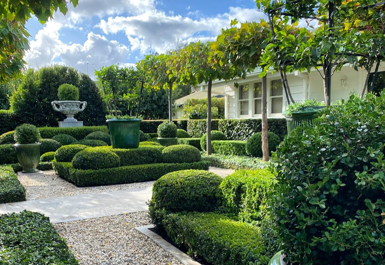 Manicured garden with Buxus hedges by Andrew Stark.