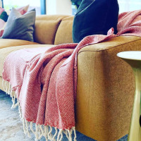 Expert Q&A: How To Add Colour To The Home