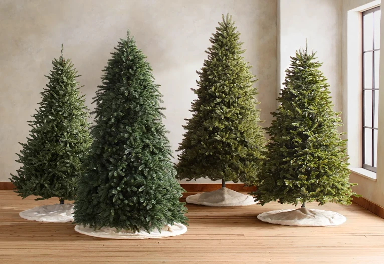 Balsam Hill Christmas trees.